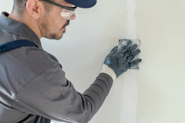 Best Mold-Related Health Consultation  in Lehighton, PA