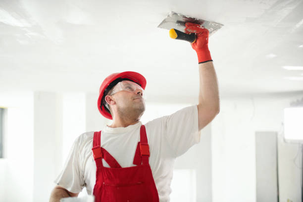 Lehighton, PA Mold Removal Company